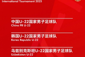 熊猫杯票务方案：7日晚起售，票价68元至118元