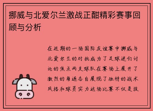 挪威与北爱尔兰激战正酣精彩赛事回顾与分析