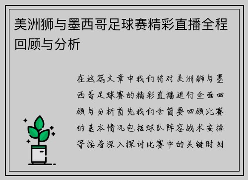美洲狮与墨西哥足球赛精彩直播全程回顾与分析