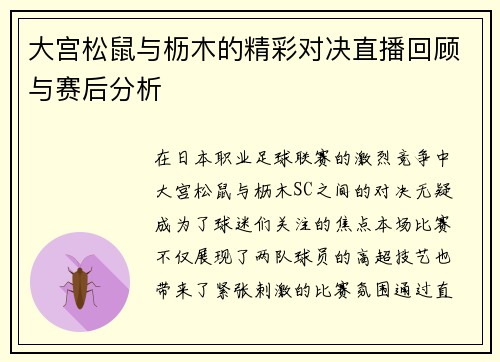 大宫松鼠与枥木的精彩对决直播回顾与赛后分析